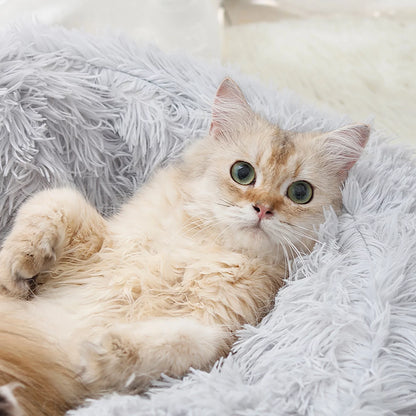 Premium Calming Pet Beds and Hooded Cat Cave with Removable Washable Cover, Round Anti-Slip Faux Fur Bed for Small to Medium Pets, Supports Up to 11 lbs for Enhanced Sleep Comfort