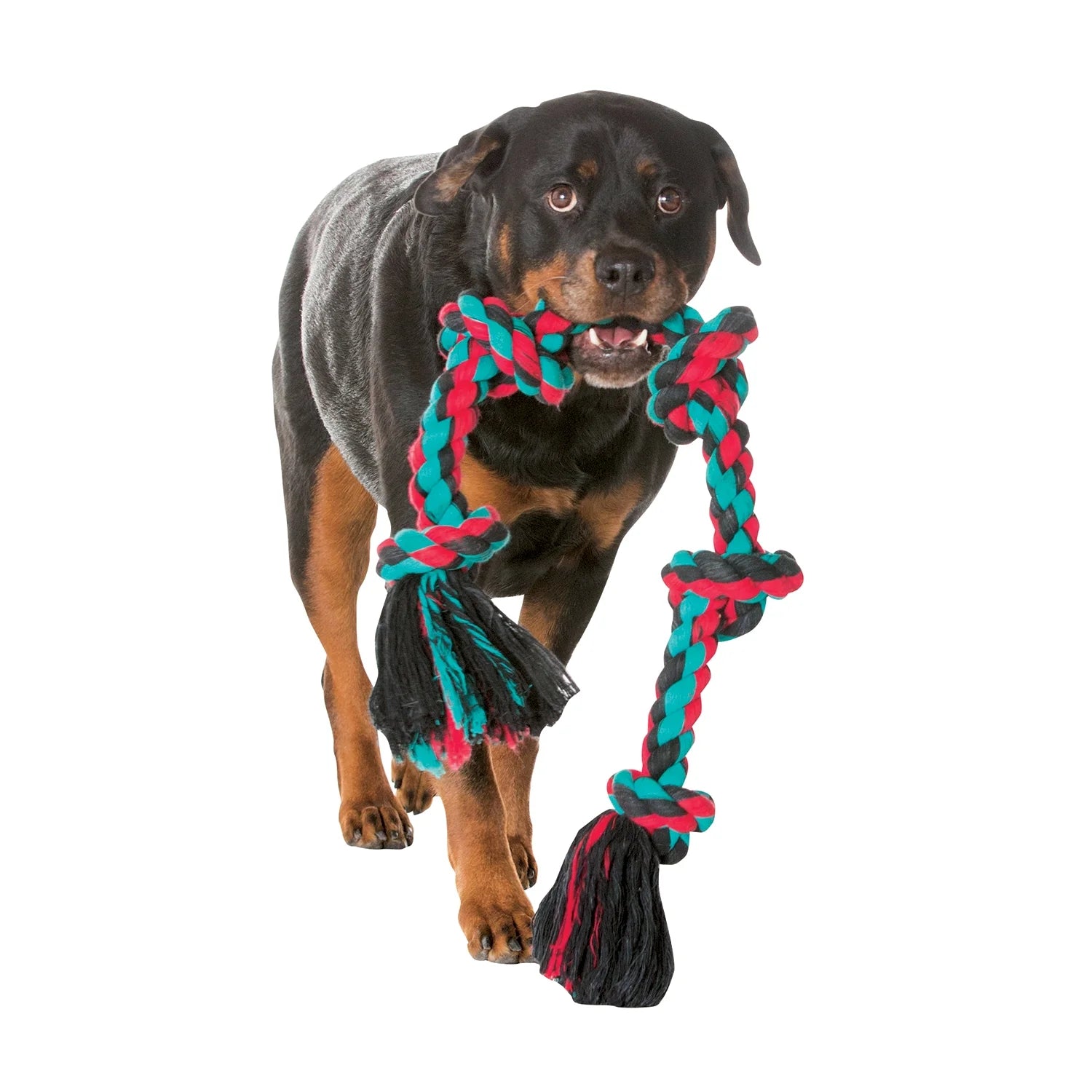 Flossy Chews Extra-Large Cotton Blend 3-Knot Tug Rope Dog Toy, 36 Inches, Assorted Colors