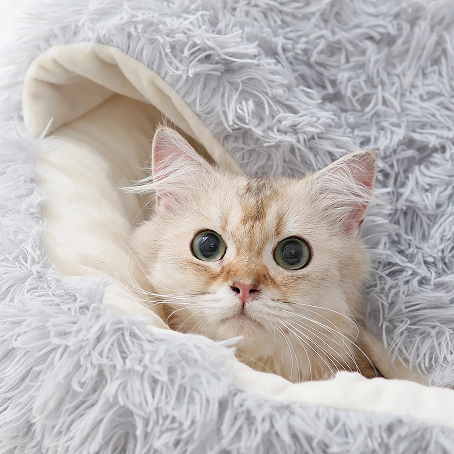 Premium Calming Pet Beds and Hooded Cat Cave with Removable Washable Cover, Round Anti-Slip Faux Fur Bed for Small to Medium Pets, Supports Up to 11 lbs for Enhanced Sleep Comfort