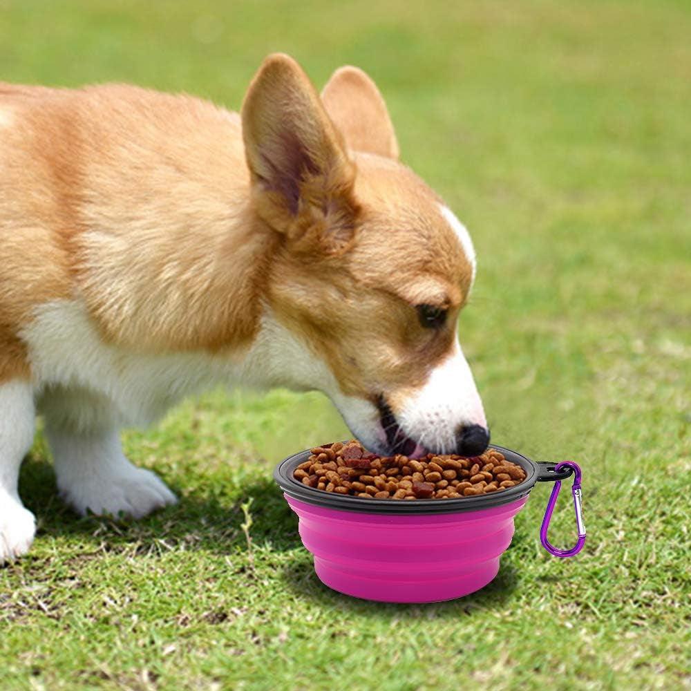 Collapsible Dog Bowls - 2-Pack Portable Pet Feeding and Watering Dishes for Cats and Dogs, Ideal for Travel and Outdoor Activities, Includes 2 Carabiners (Small, Green & Purple)