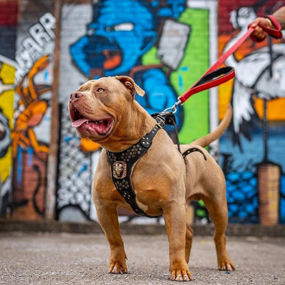BESTIA DOG SPORT dual handle leash Red