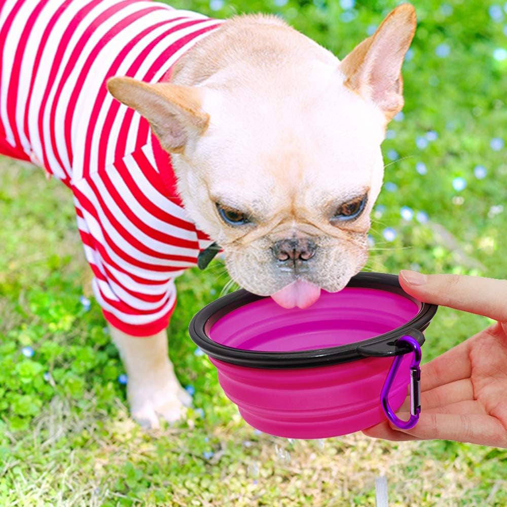 Collapsible Dog Bowls - 2-Pack Portable Pet Feeding and Watering Dishes for Cats and Dogs, Ideal for Travel and Outdoor Activities, Includes 2 Carabiners (Small, Green & Purple)