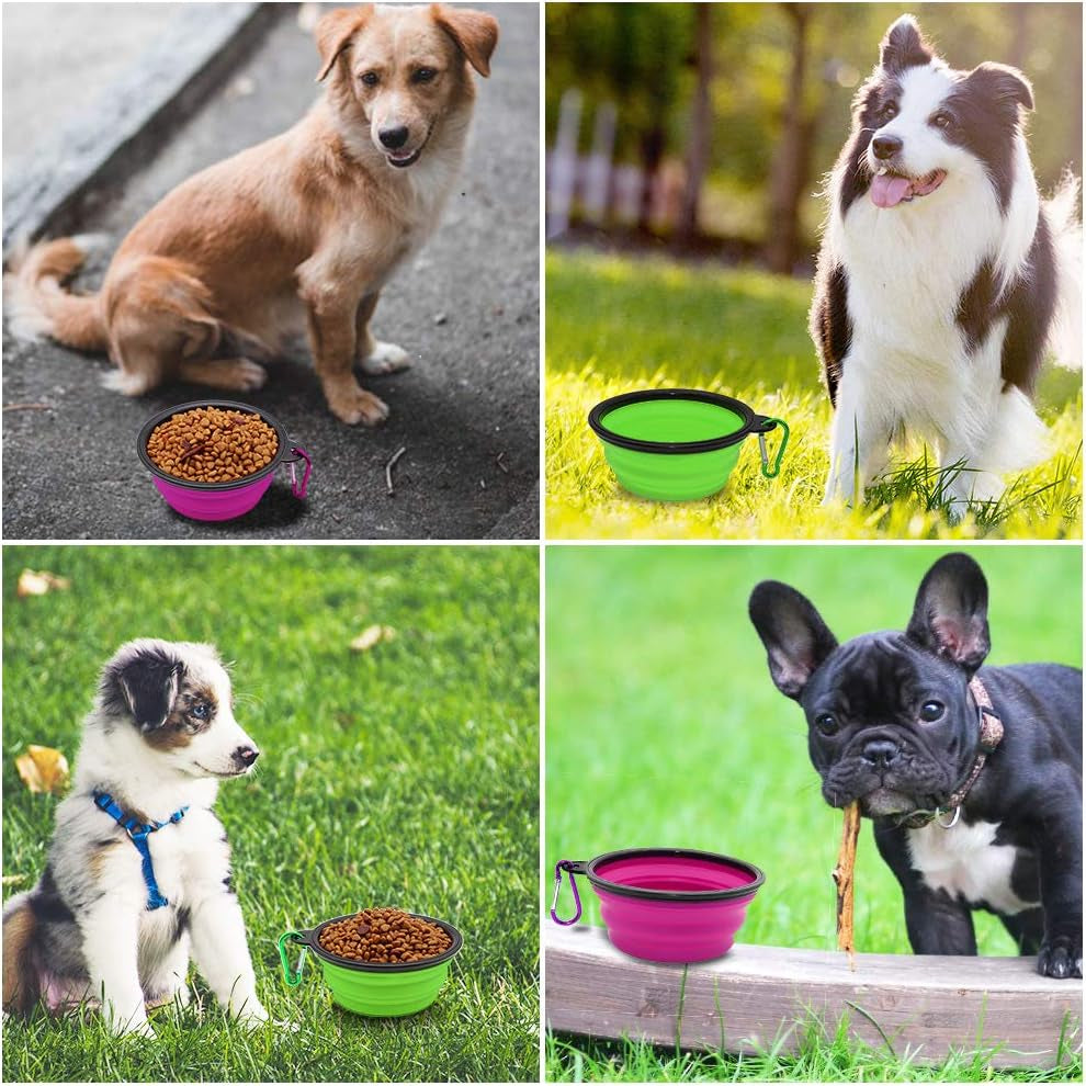 Collapsible Dog Bowls - 2-Pack Portable Pet Feeding and Watering Dishes for Cats and Dogs, Ideal for Travel and Outdoor Activities, Includes 2 Carabiners (Small, Green & Purple)