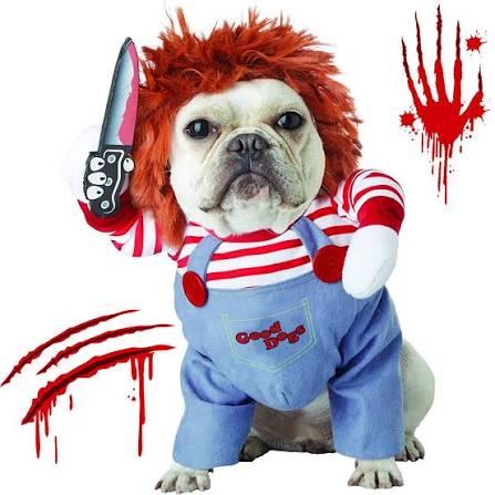 Chucky Costume for pets